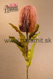 Banksia 65cm ruž. F251-P