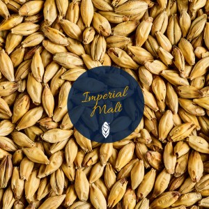 Sipmsons imperiálny slad 1 kg – Plná chuť, karamelová aróma, ideálny na domáce pivo Porter, Stout, Brown Ale