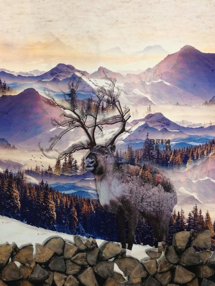 PANEL - JELEŇ A DREVO NA ÚPLETE - 50x75 cm!!!