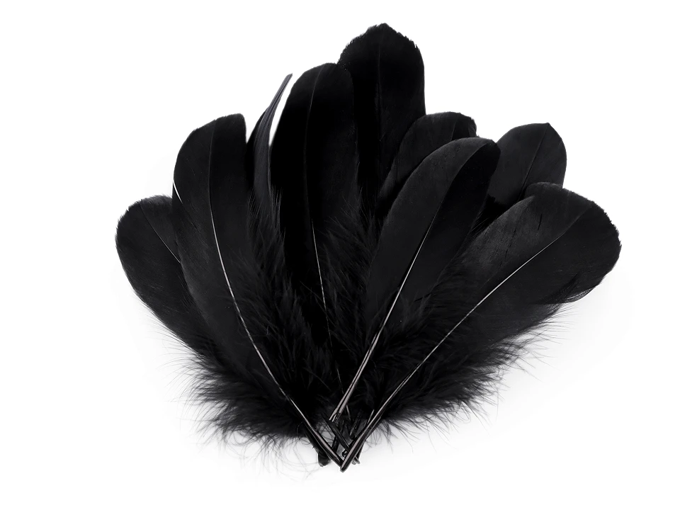 Husacie perie dĺžka 14-18 cm- 10ks
