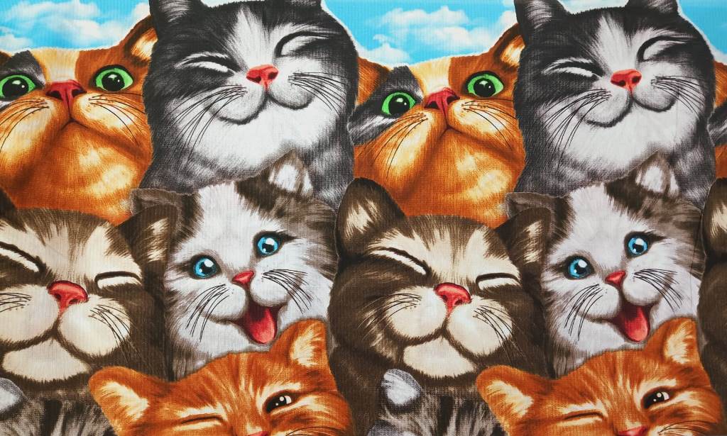 WAFFLE NA UTIERKY A OSUŠKY- CRAZY CATS