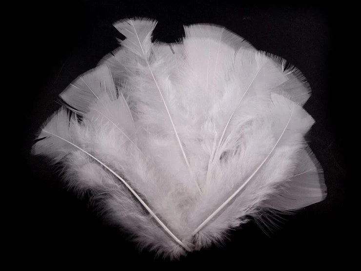 Morčacie perie dĺžka 11-17 cm - 20ks