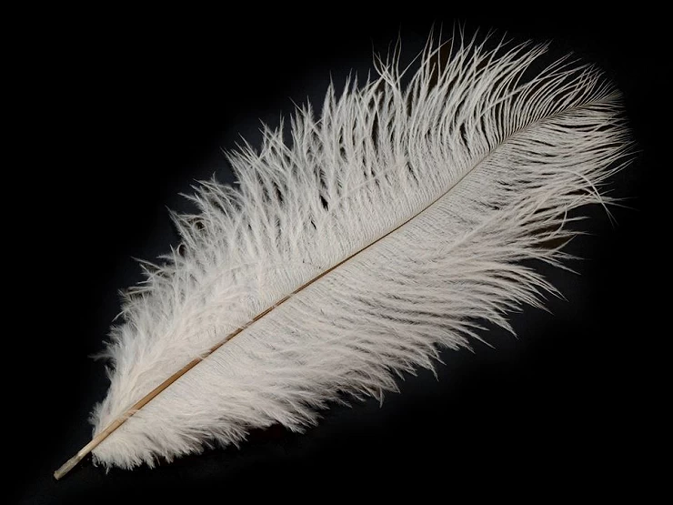 Pštrosie perie dĺžka cca 20-25 cm - 2ks