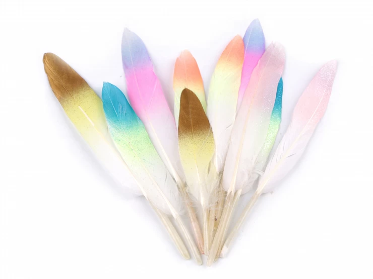 Perie ombré s glitrami dĺžka 10-14 cm - 10ks