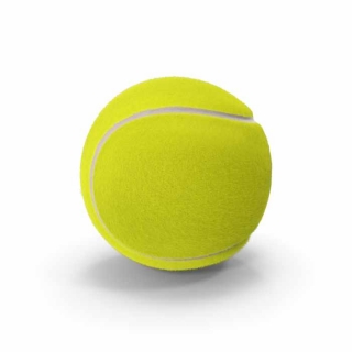 Tenis Ball STR7