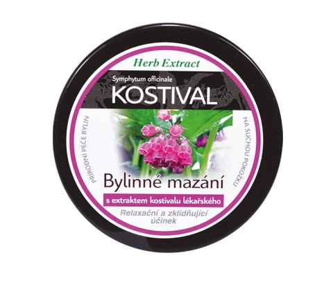 Vivaco Bylinná masť s Kostihojom 100 ml