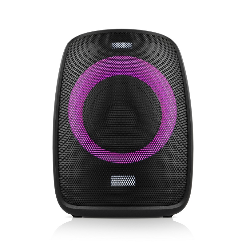 Niceboy PARTY Boy 2 100W