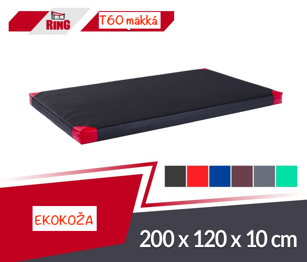 Gymnastická žinenka mäkká (R60) 200x120x10 EKOKOŽA RM-10 Ring Sport/rôzne farby