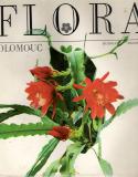 Flora Olomouc   /vf/