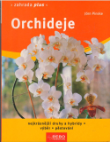 Orchideje /br/