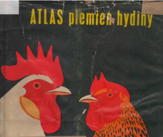 Atlas plemien hydiny /vf/