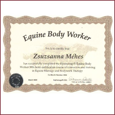 Equine Body Worker Equine Body Worker