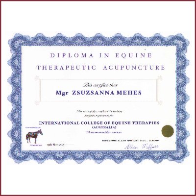 Euine Therapeutic Acupuncture Euine Therapeutic Acupuncture