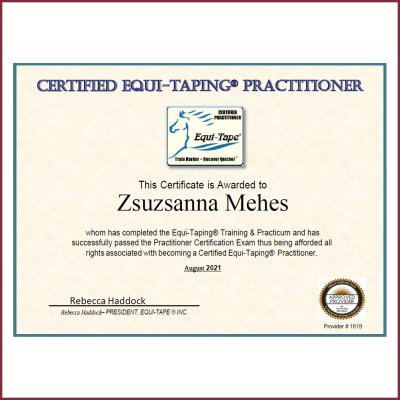 Equi Taping Practitioner Equi Taping Practitioner