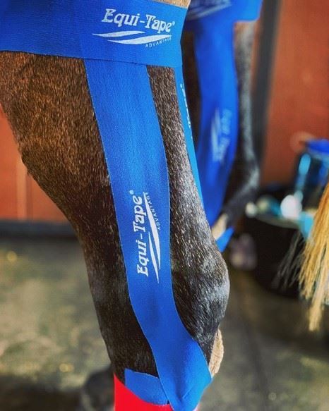 EquiTecs 5 cm - royal blue