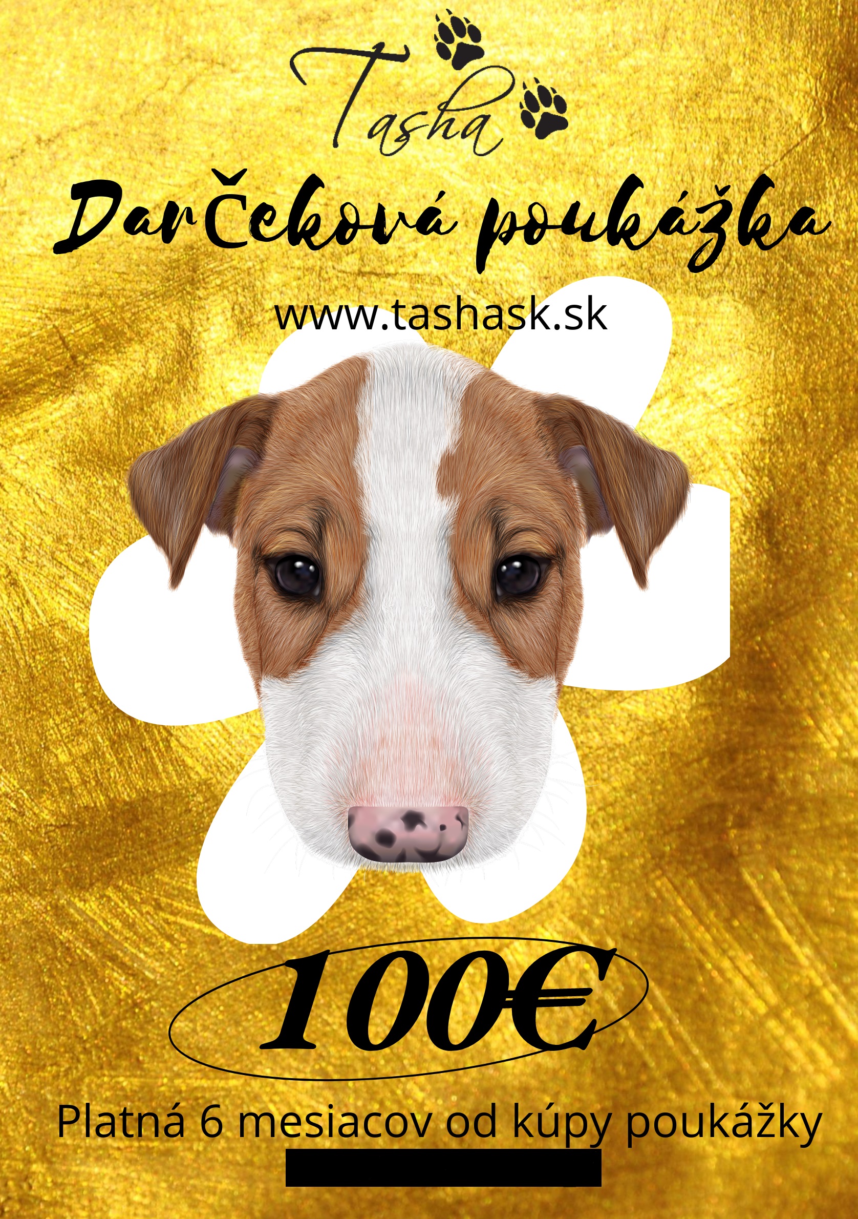Darčeková poukážka 100€
