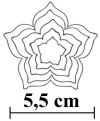 Sada ruže II. 5 ks